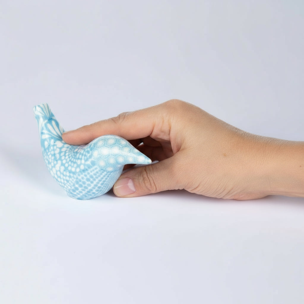 titi-tyy bird with hand
